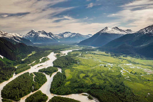 You help keep Alaska salmon thriving