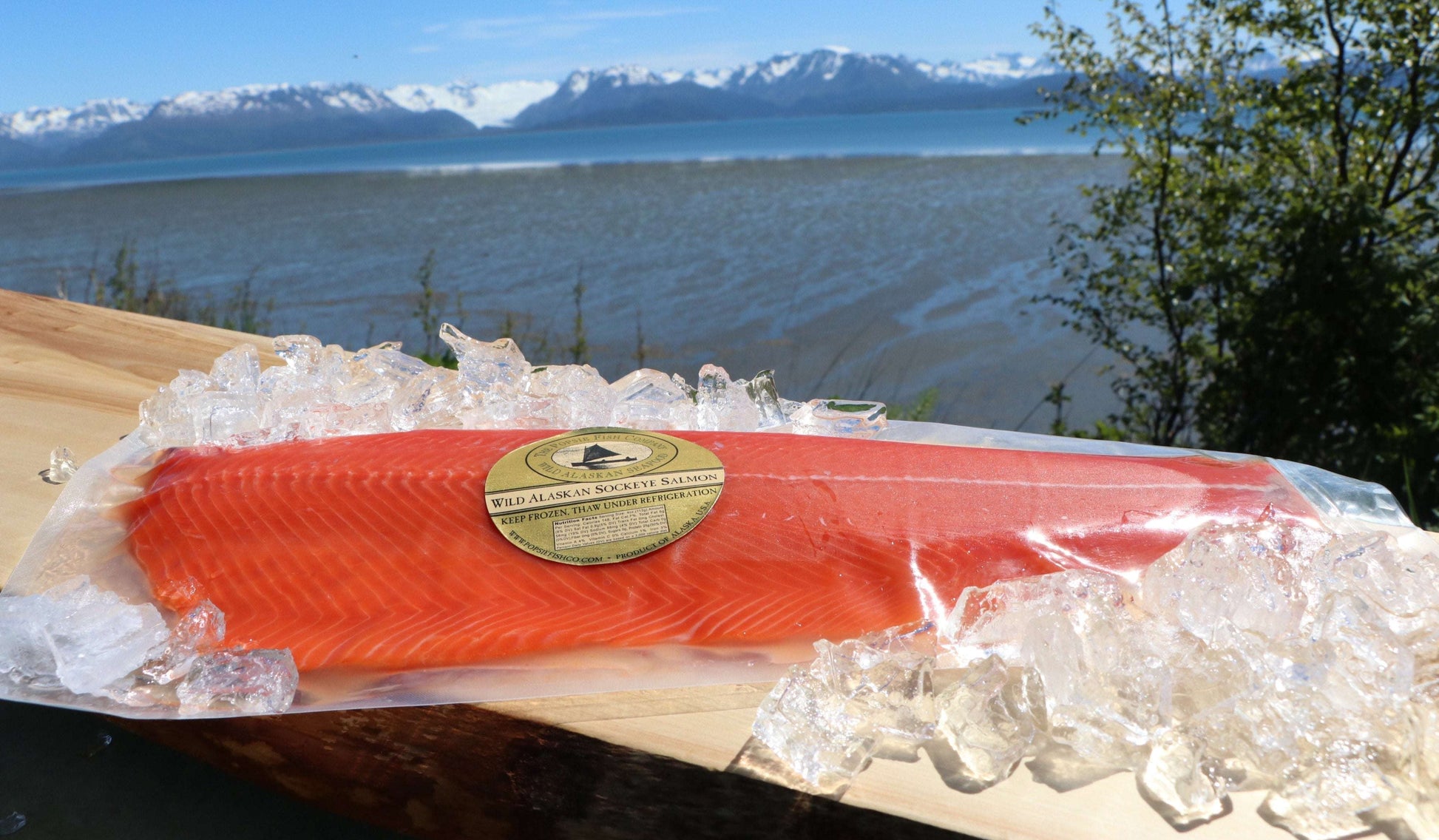 Frozen Wild Caught Alaskan Sockeye Salmon Fillets - Popsie Fish Co