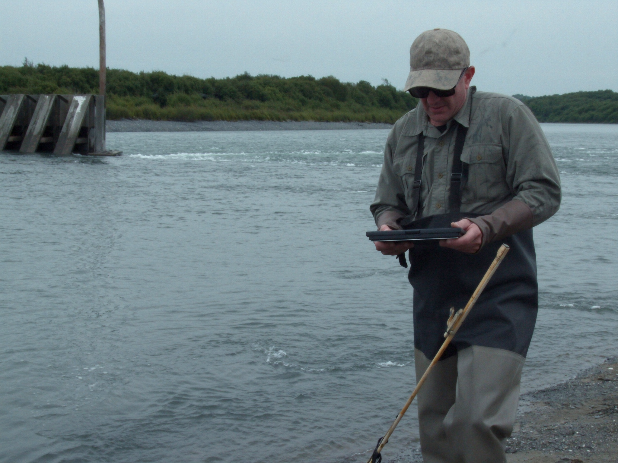 Fishery biologist counting salmon on Bristol Bay river