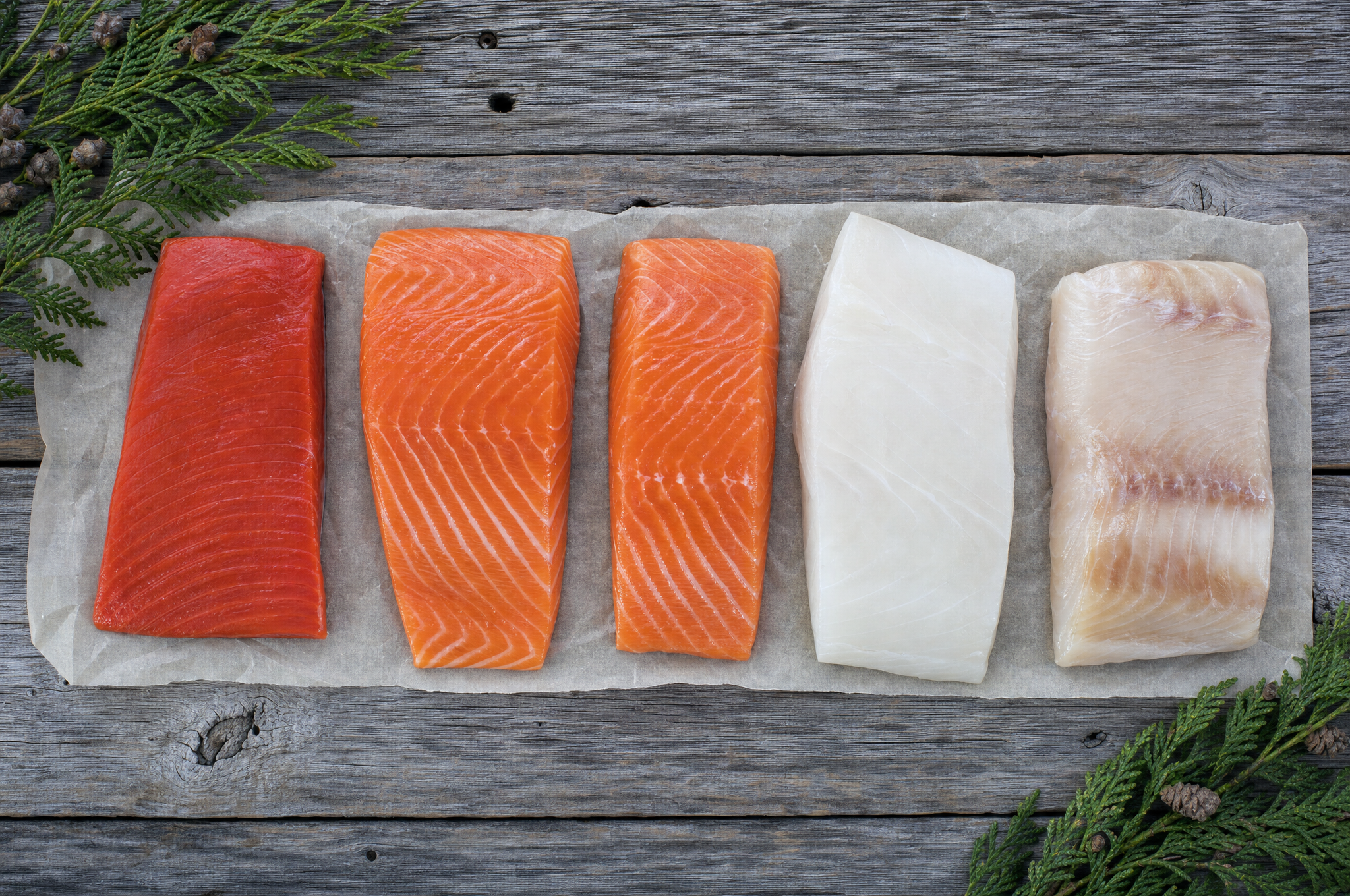 Five wild Alaskan seafood fillets side by side