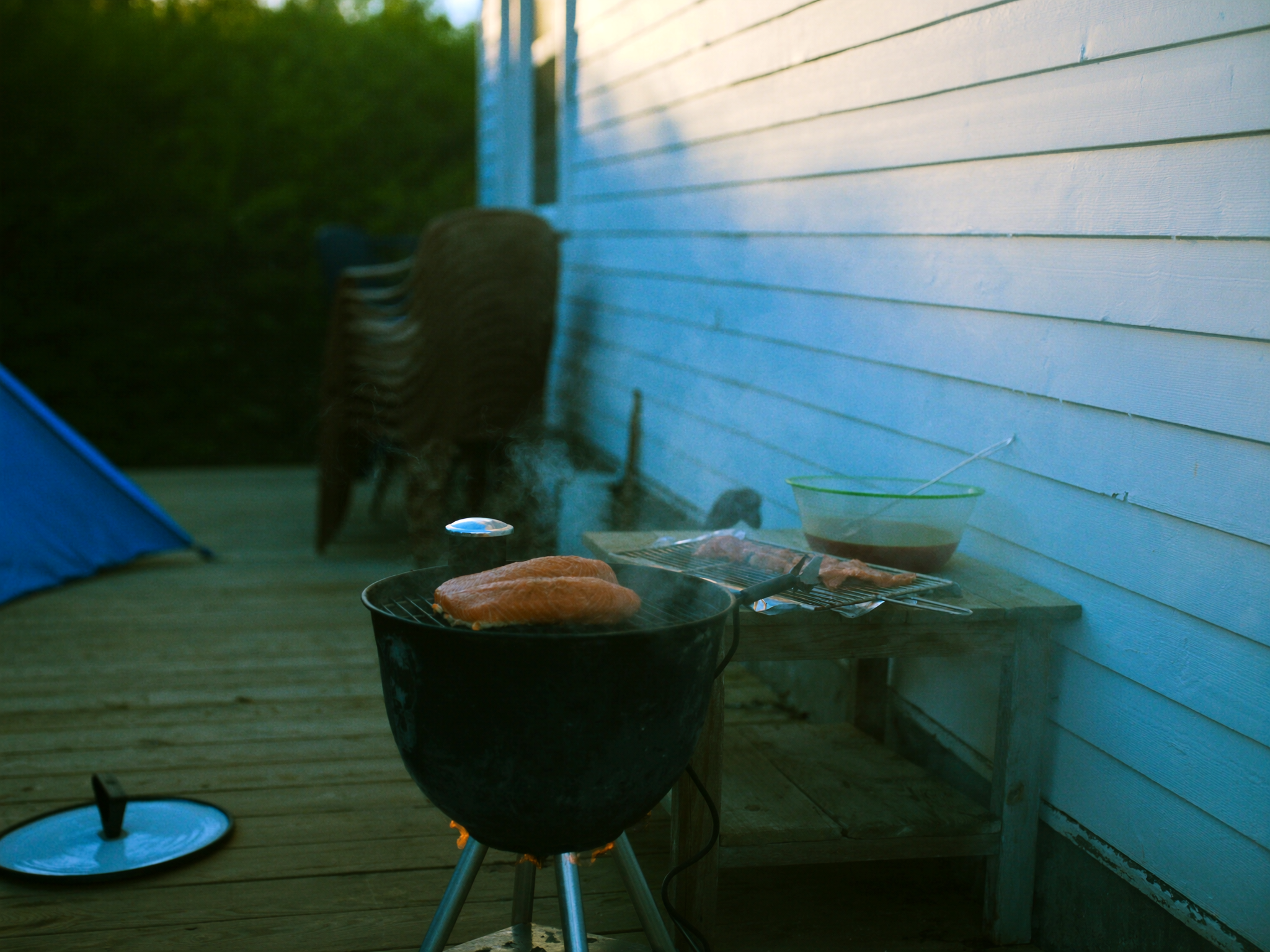Backyard smoker with salmon fillets