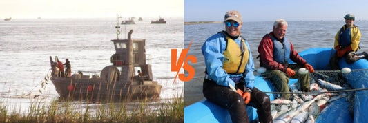 drifting vs set netting