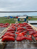 Smoking wild-caught sockeye salmon at our fish camp in Bristol Bay, Alaska.