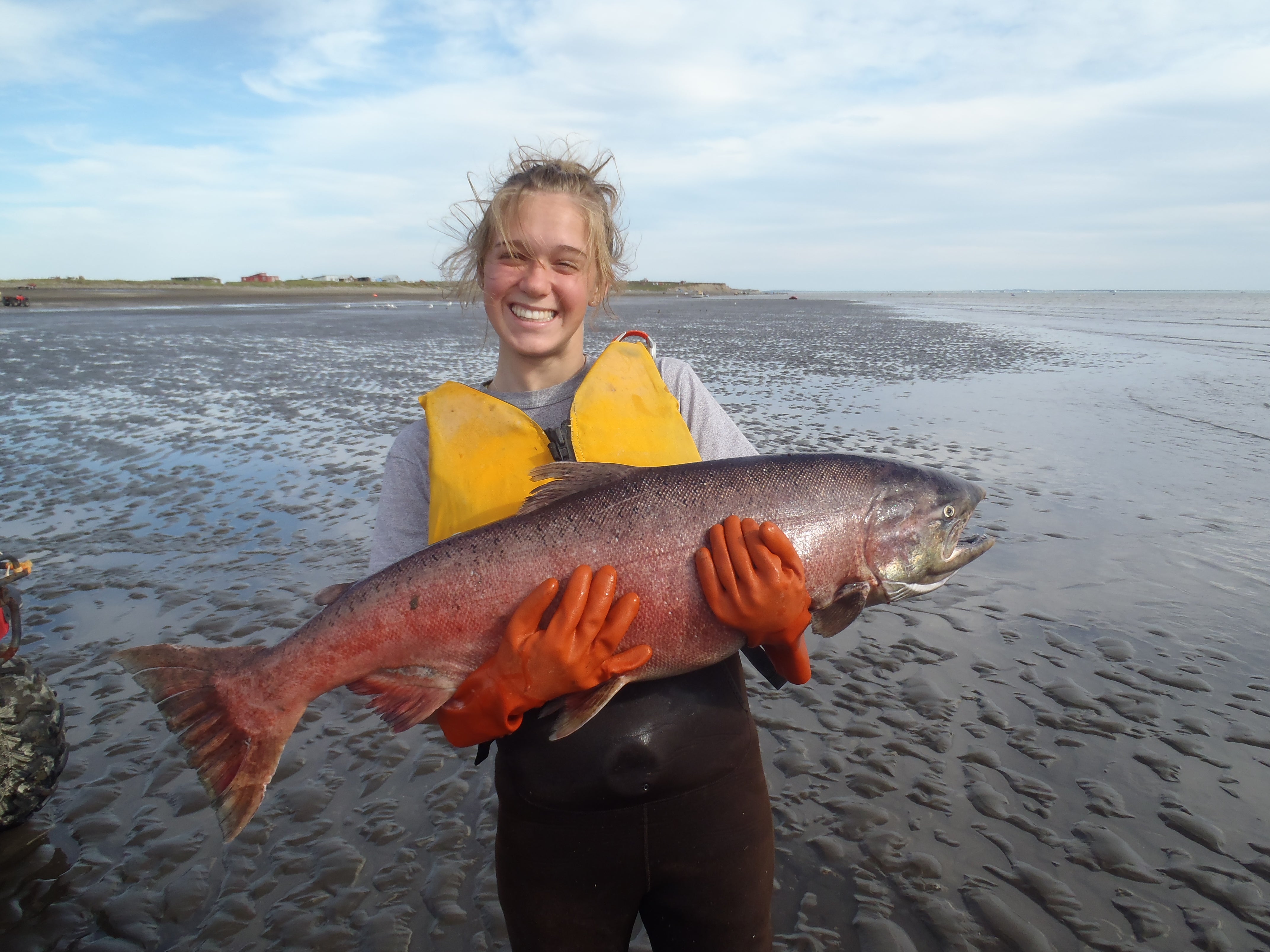 huge king salmon caught in alaska