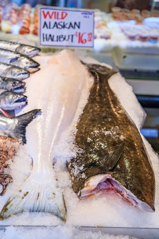 slabs of Alaskan halibut on ice