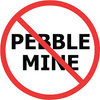Pebble Mine Put On Ice