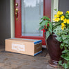Frozen fix box safely delivered to your door